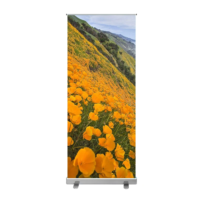 

Hot Selling Promotional OEM High Quality Custom Recycle Pop Up Roll Up Display