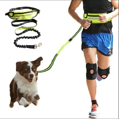 

High quality multifunction running reflective waist belt bag dog leash chain pet traction rope, As picture
