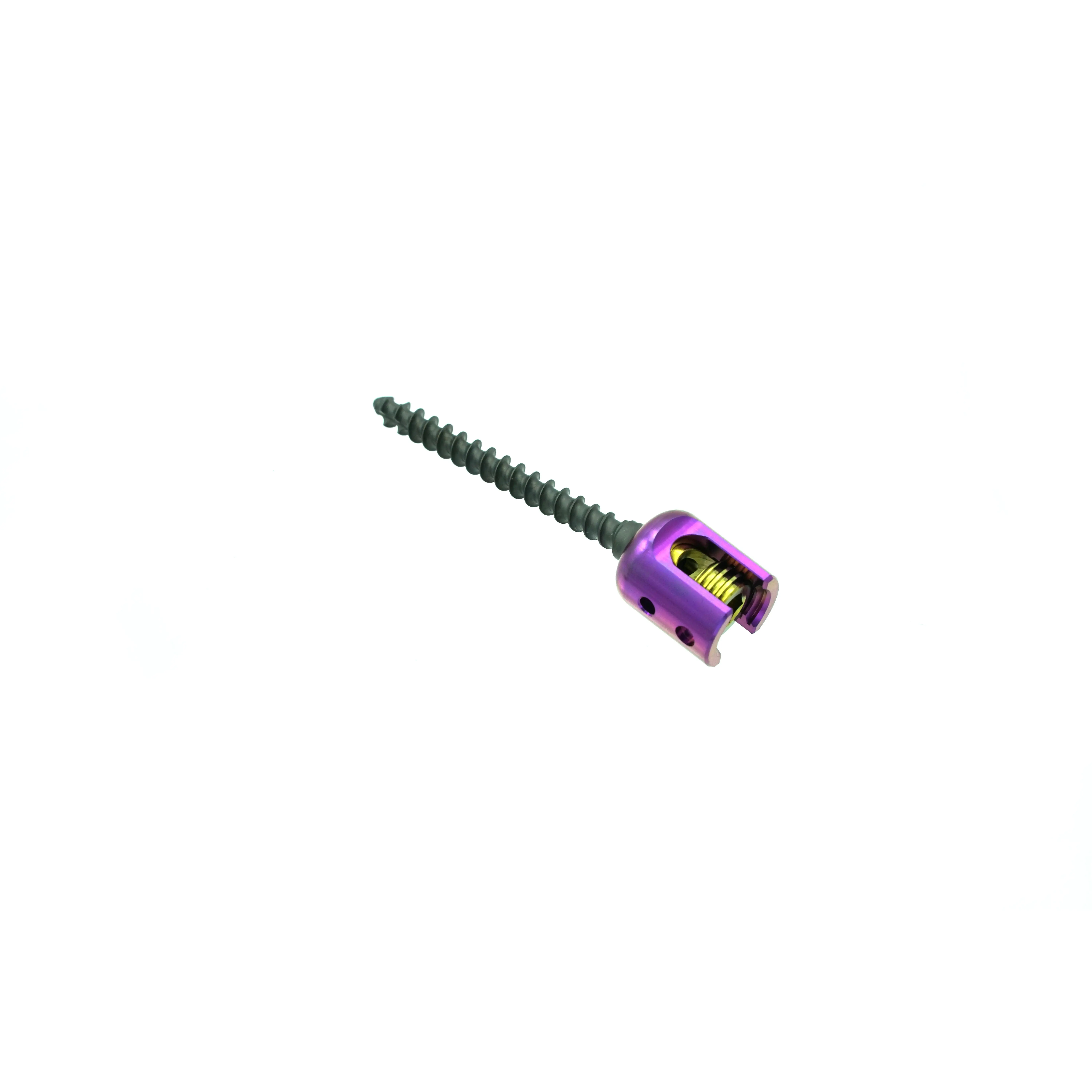 

High Quality Spine Implants 6.0 Polyaxial Pedical Screw Spinal Pedicle Screw System 6.0mm System