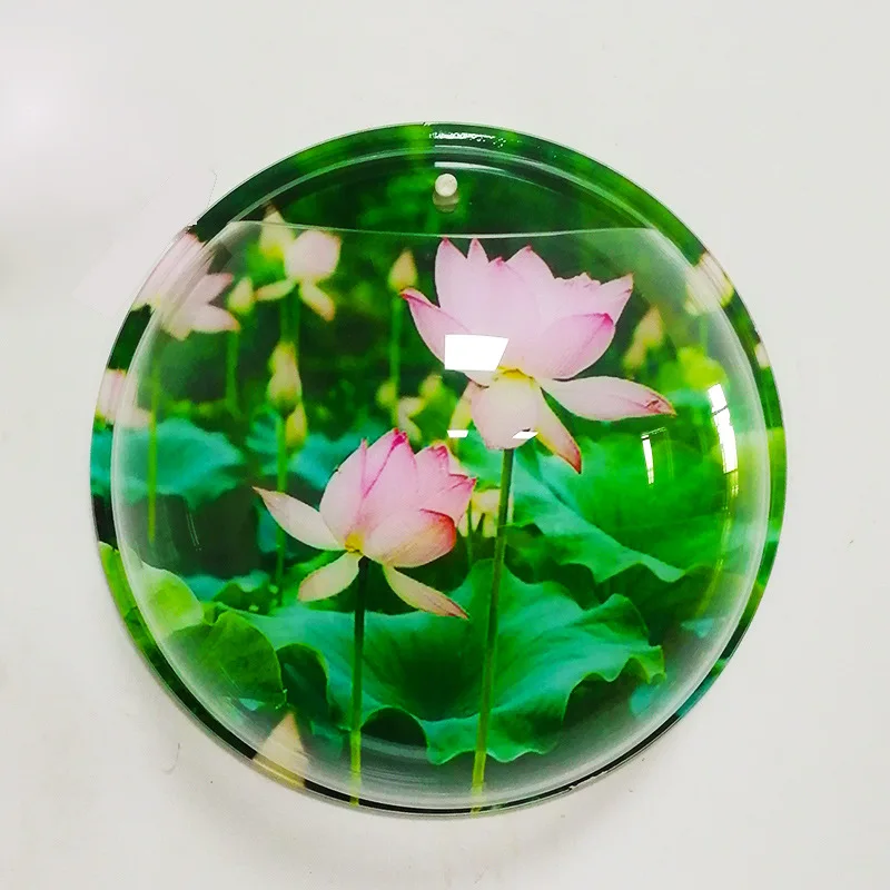 

Wholesale Flower Indoor Decorative Home Wall Frame Acrylic Pot