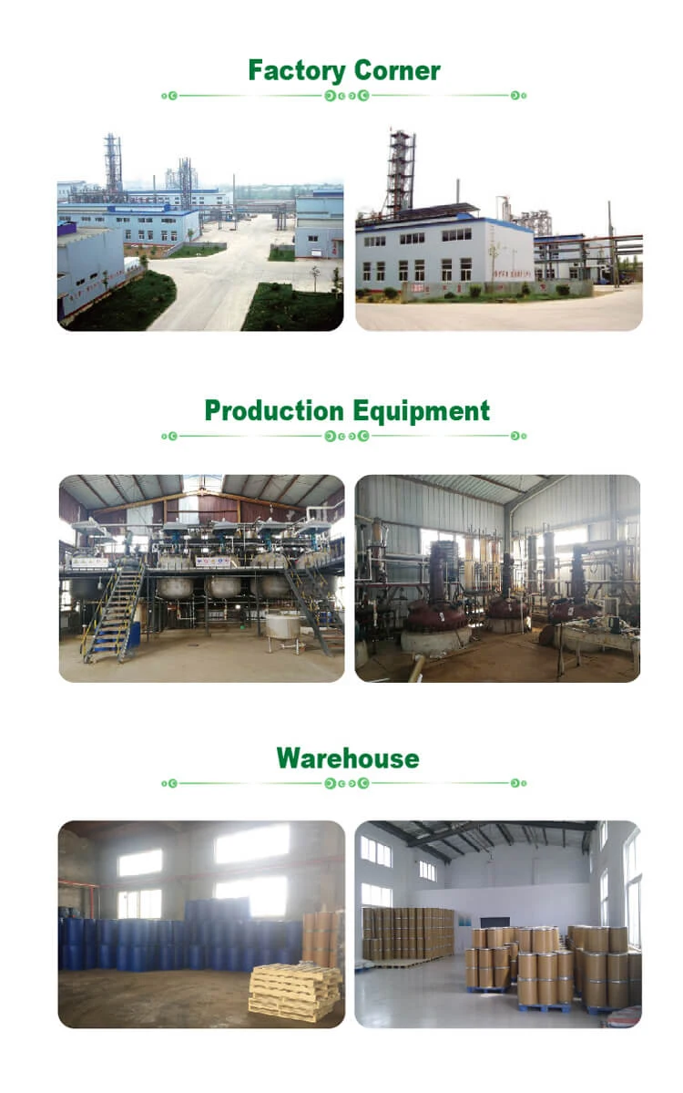 Our Factory