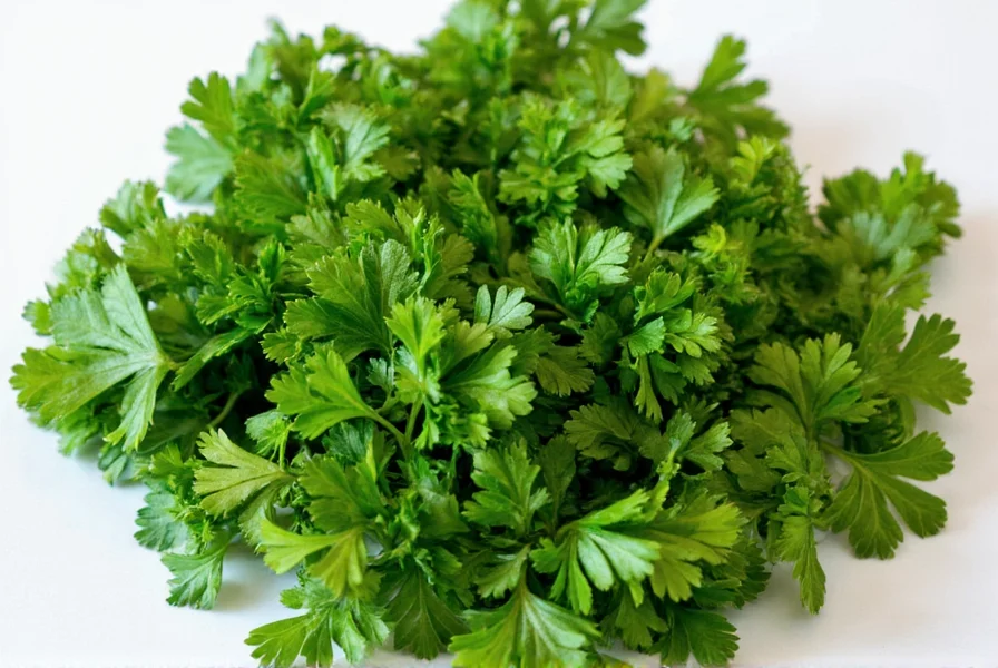 parsley is cilantro a flavorful confusion that needs clearing up
