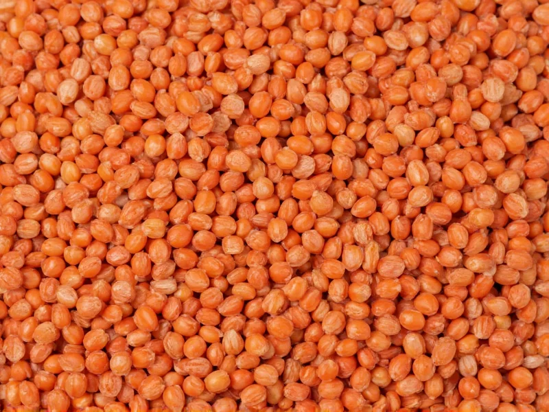 Red Lentils Protein: Facts, Benefits & Nutrition