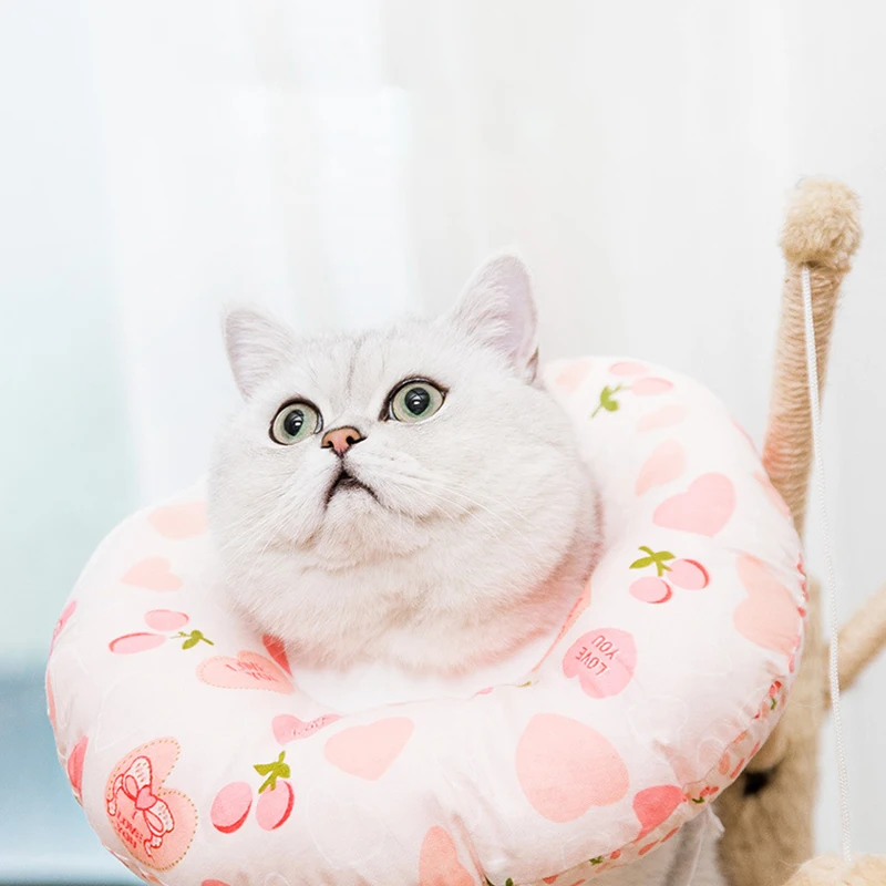 

Wholesale Protective cotton collar adjustable soft circle pet cat elizabethan collar