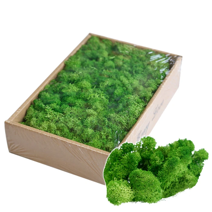 

QSLHFH-1049 High Quality Preserved Fresh Moss Stabilized Plant For Indoor Decoration, Multiple colors