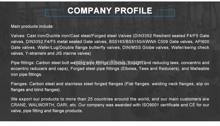company brief introduction