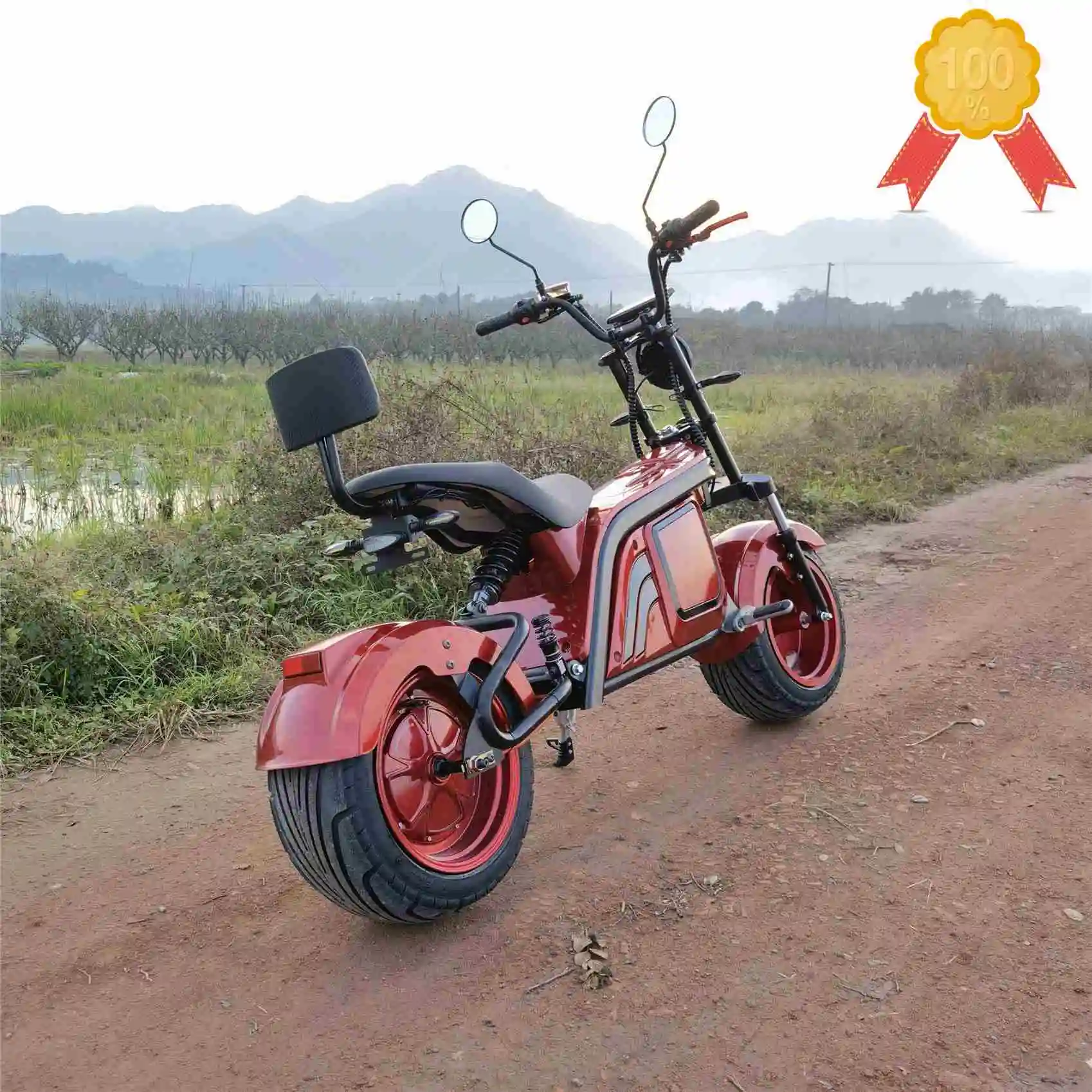 

Electric Motorcycle Scooter Adult Vespa Model 3000W 60V/72V 26AH/40AH EEC/COC Certificate
