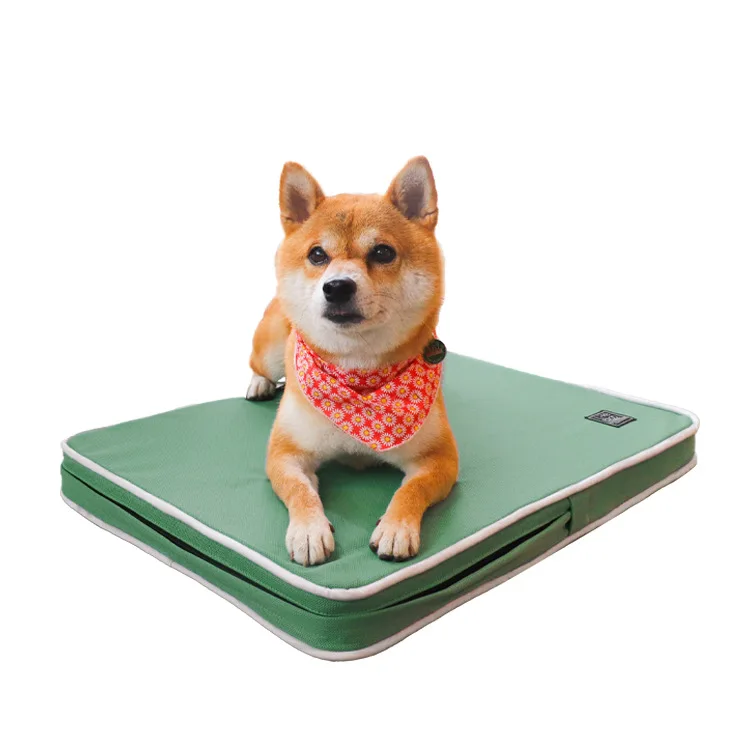 

bed for dog, Green, gray
