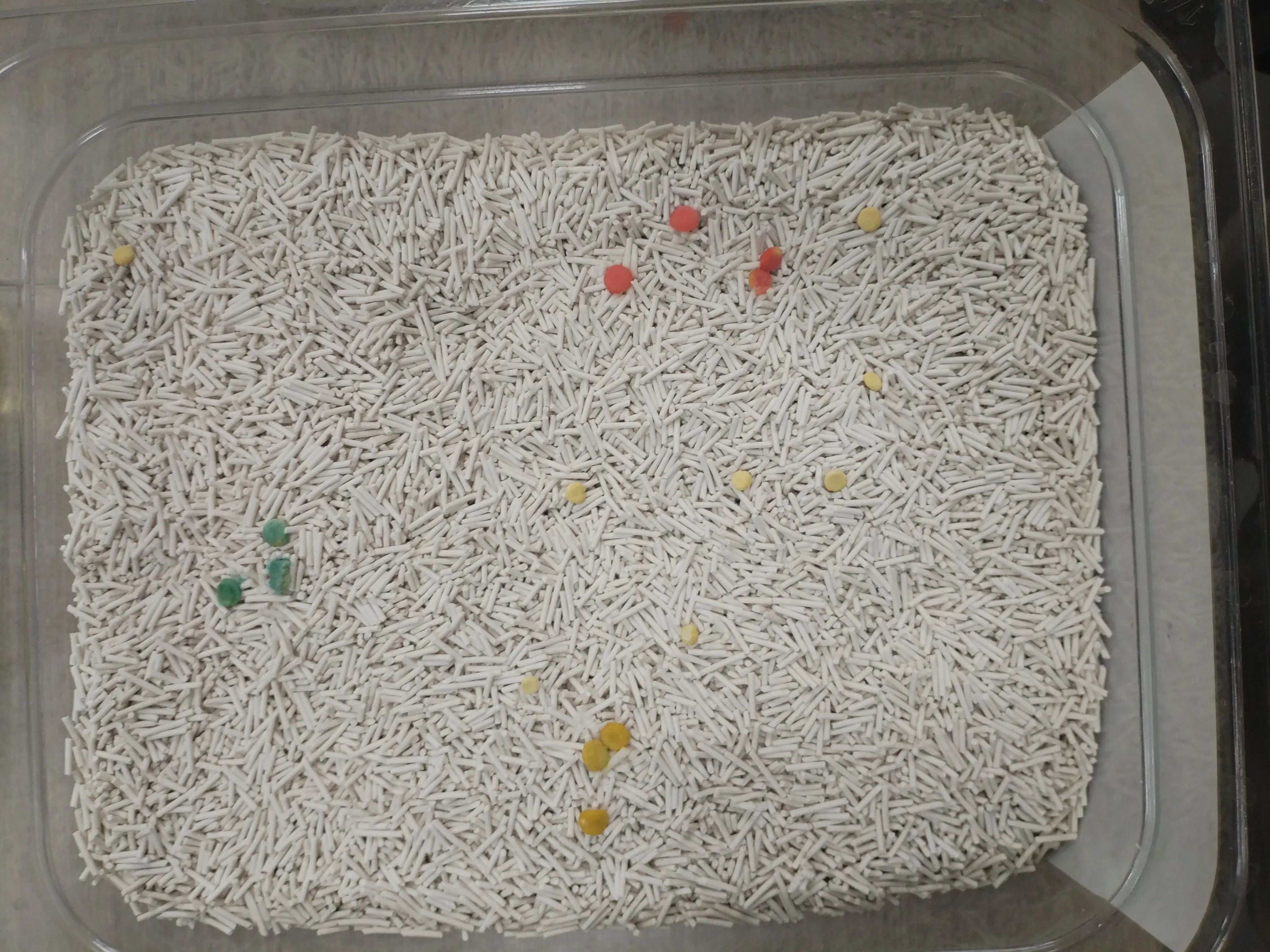 Health monitoring cat litter — white tofu base with color-changing pH detection granules