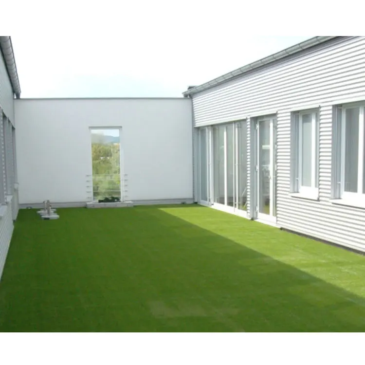 

DDP 6.57ft*16.41ft Artificial Plastic Grass Panel No Infill