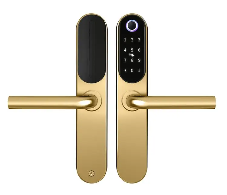 

Sweden Noway TTlock TThotel optional electric front door digital OEM smart lock gold outdoor home finger print locker