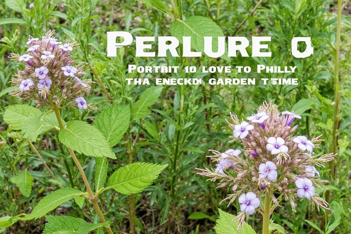 Secrets of Plant Culture: Thriving Garden Tips 2025