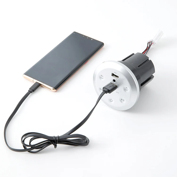 Professional Factory Multi-functional Smart Speakers Are Suitable For Cars And Ships - ANKUX.COM