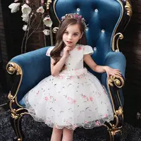 

Lovely baby girl dress for 1 years flower girl dress patterns for party fancy Princess dresses for wedding