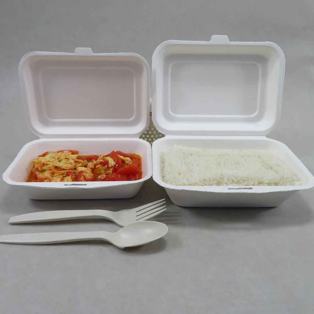 

100% Biodegradable Sugarcane Bagasse Fast Food Paper Container, White color