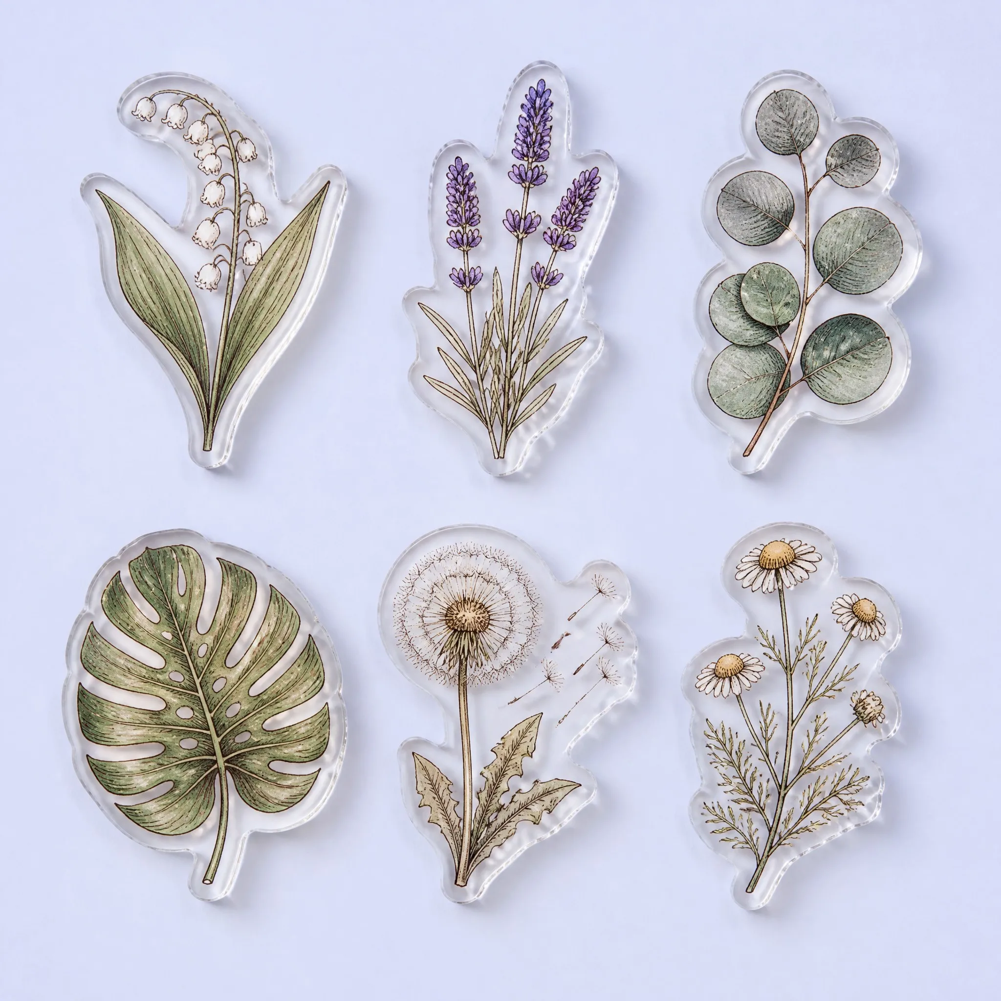 6 Vintage Botanical Herbarium Acrylic Grips: Lily of the Valley, French Lavender, Eucalyptus, Monstera Leaf, Dandelion, Chamomile