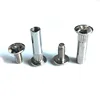 Chinese manufacturer stainless steel connection bolt for furniture