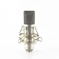 

Berani B87 Tube Condenser Microphone for Studio Recording