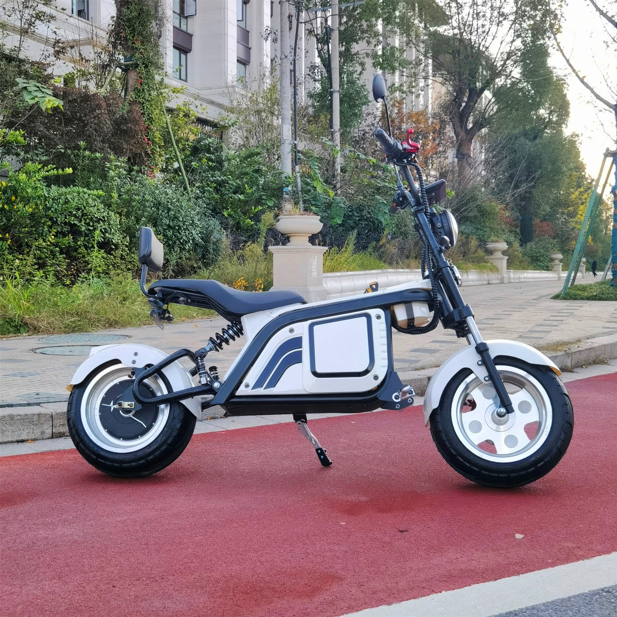

Classical Good Quality Electric Scooters Citycoco 1500W Three-Wheel Electric Tricycle