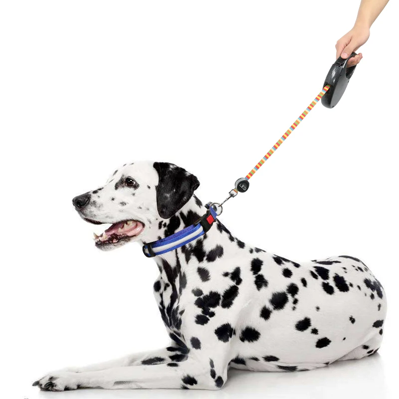 

USB Retractable LED Dog Leash Pet Rope with Multicolor Light for Dogs