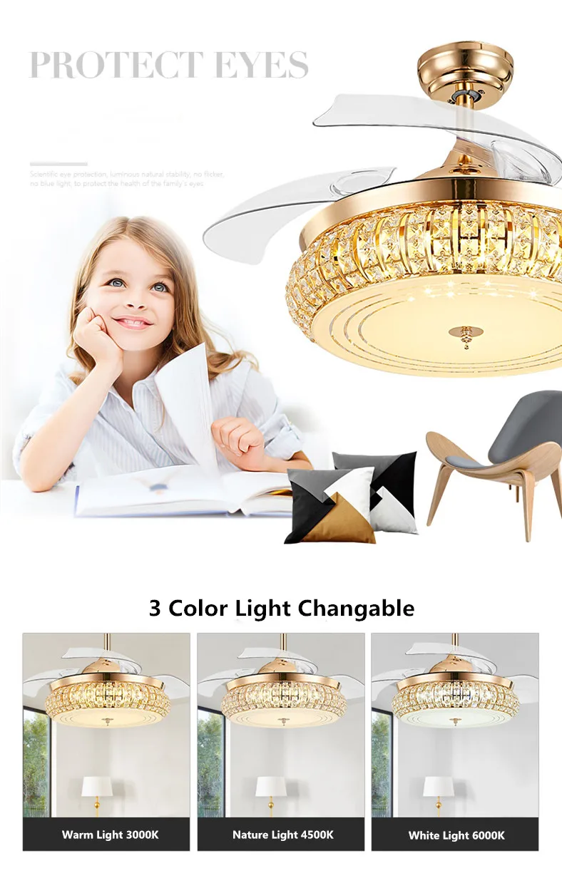 Fan with Light (4).jpg