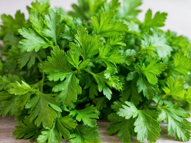 Parsley: Herb or Spice? The Definitive Answer