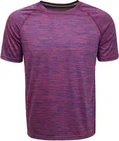 

Wholesale Custom Blank Sport Men T-shirt Print