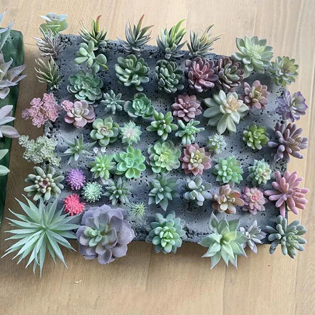 Faux Succulent Artificial Wholesale Succulent Plants Buy Wholesale