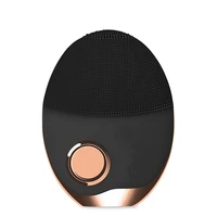 

2019 USB Rechargeable Mini Makeup Mask Washing Cleanser Electric Sonic Face Cleansing Facial Silicone Brush