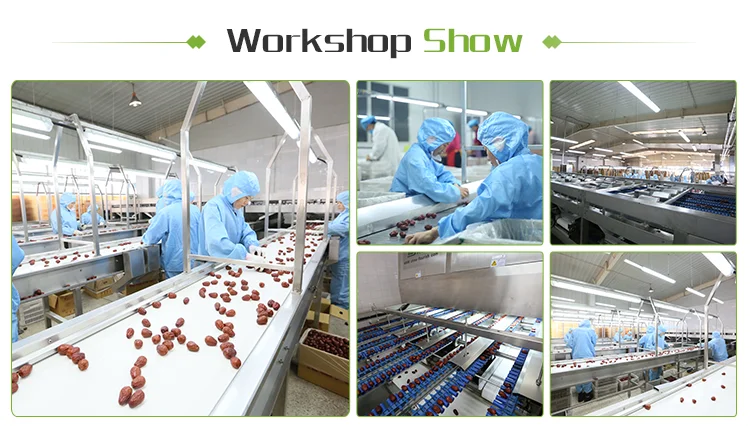 workshop.png