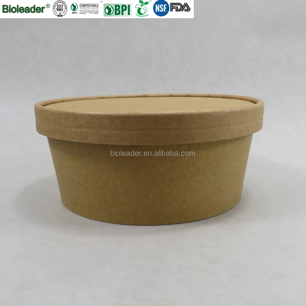 Paper Bowl 23