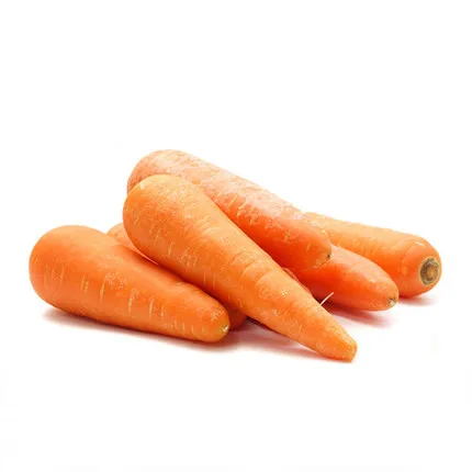 
Hot Selling chinese New Crop sell sell fresh carrot  (62011404328)