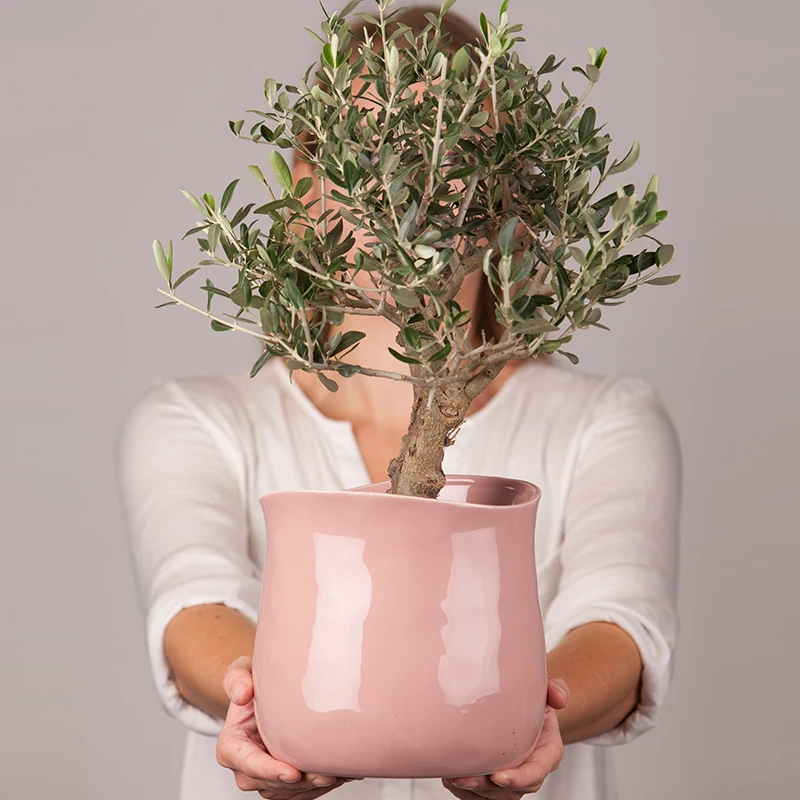 

Promotional indoor decoration cheap prices pink glaze short flower pot planter ceramic, Customized color