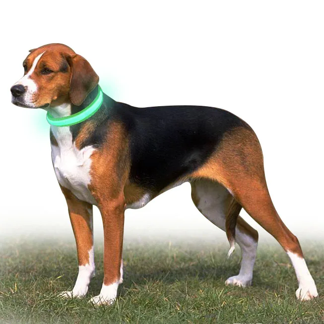 

China supplier wholesale Adjustable light up led dog collar