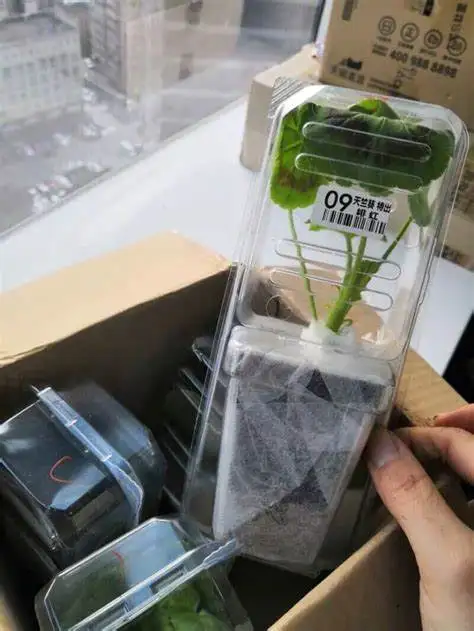 Packaging For Plants4.jpg