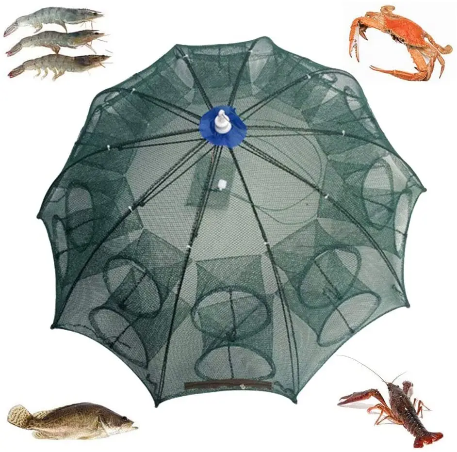 

Amazon Hot Sale Portable Durable Folded Automatic Telescopic Fishing Trap Net for Catching Smelt Crab Lobster Shrimp Crawfish, Blue
