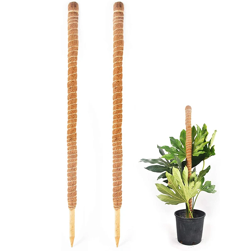 

Grow Upwards Use Unique Popular 4Ocm Coconut Coir Moss Poles For Plant Support