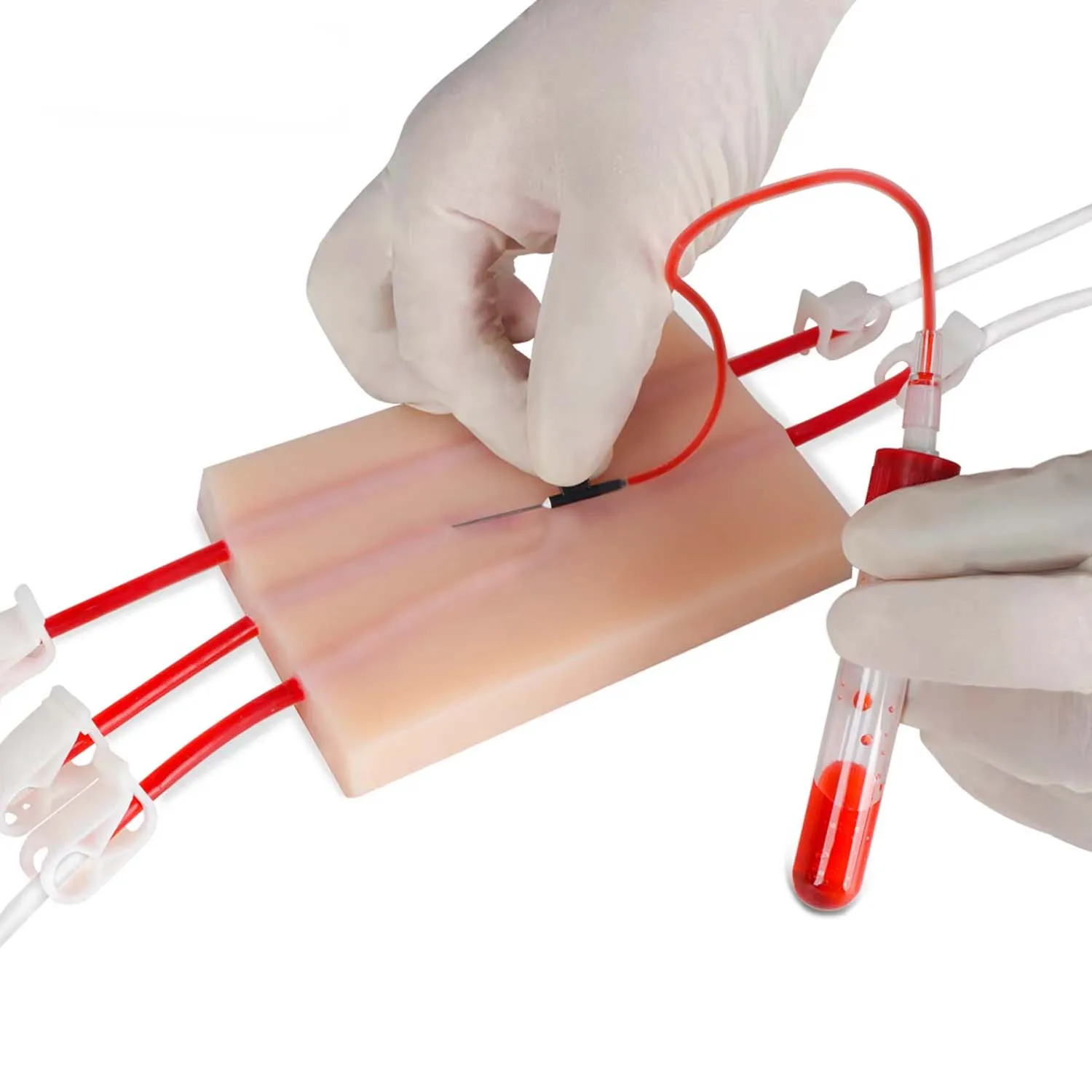 IV Practice Model for Intravenous Blood Collection and Multi-Purpose Skin Injection Training Medical Science Simulator