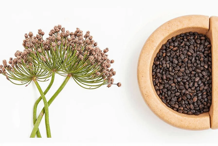Black Cumin Seeds for Hair: Science-Backed Benefits & Uses