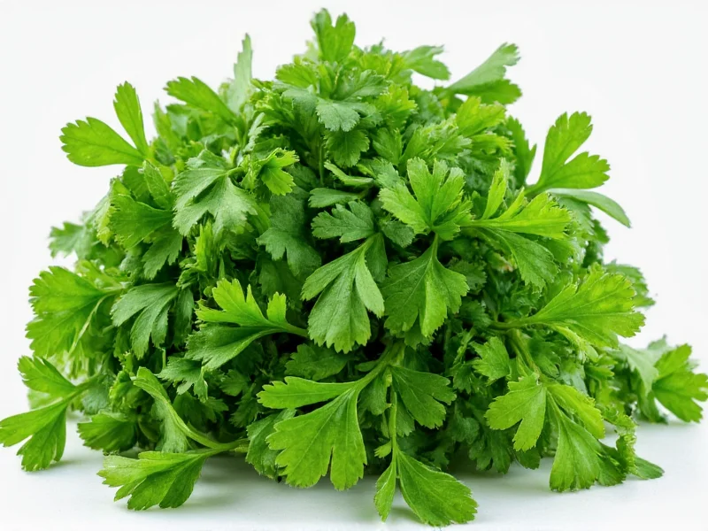 Cilantro vs Italian Parsley: Not the Same Herb