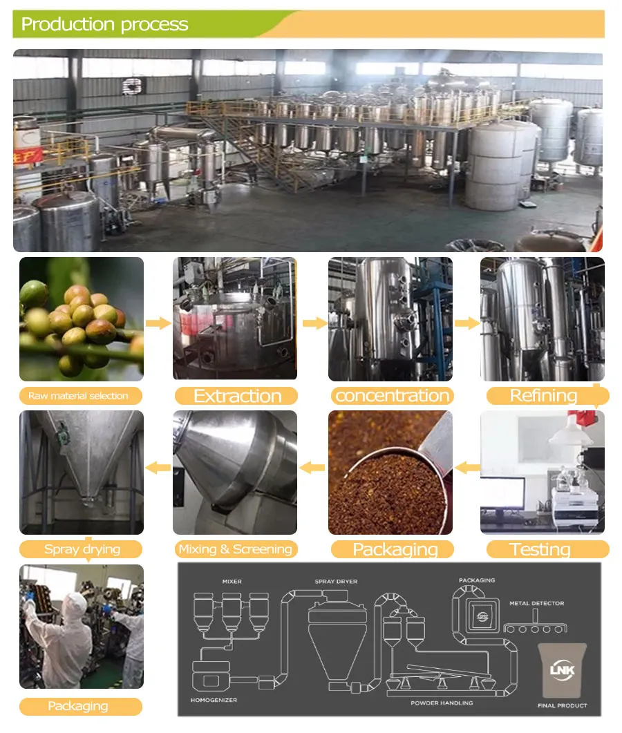 lingzhi-production-process.jpg
