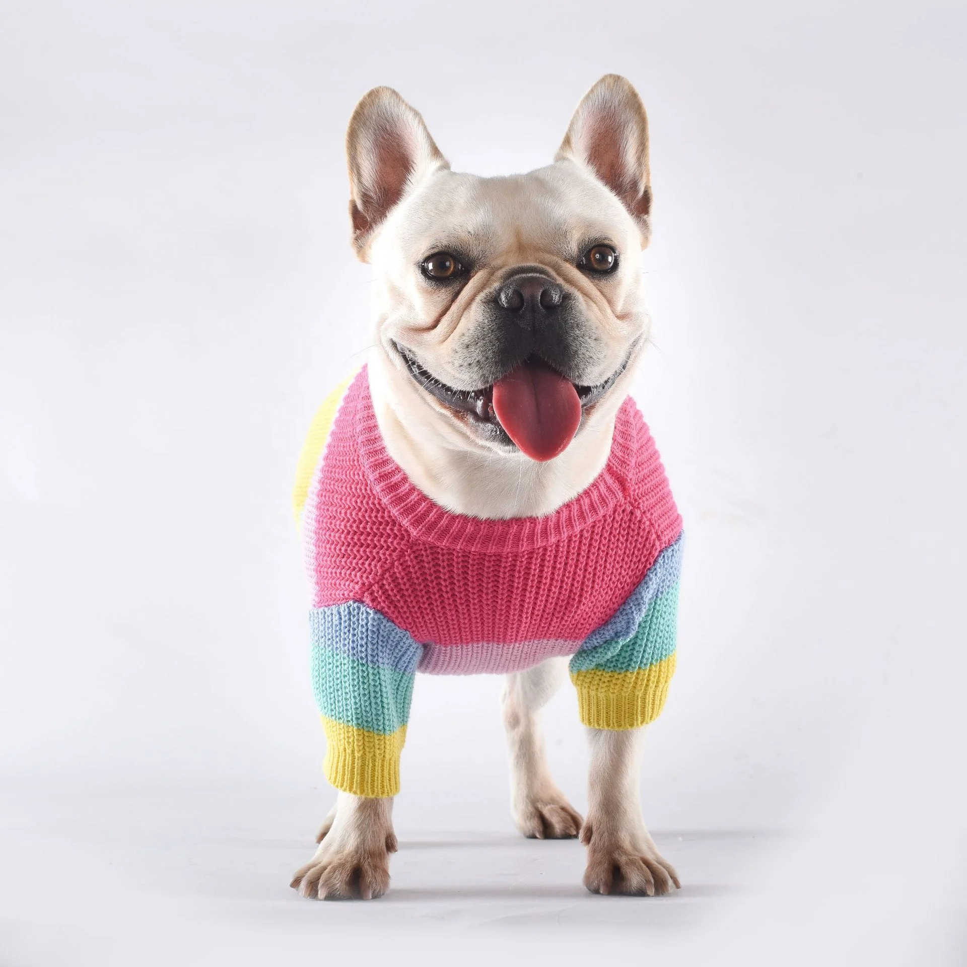 

Pet Clothes Big Size Winter Dog Accessories Matching Heated Knitted Pet Sweater