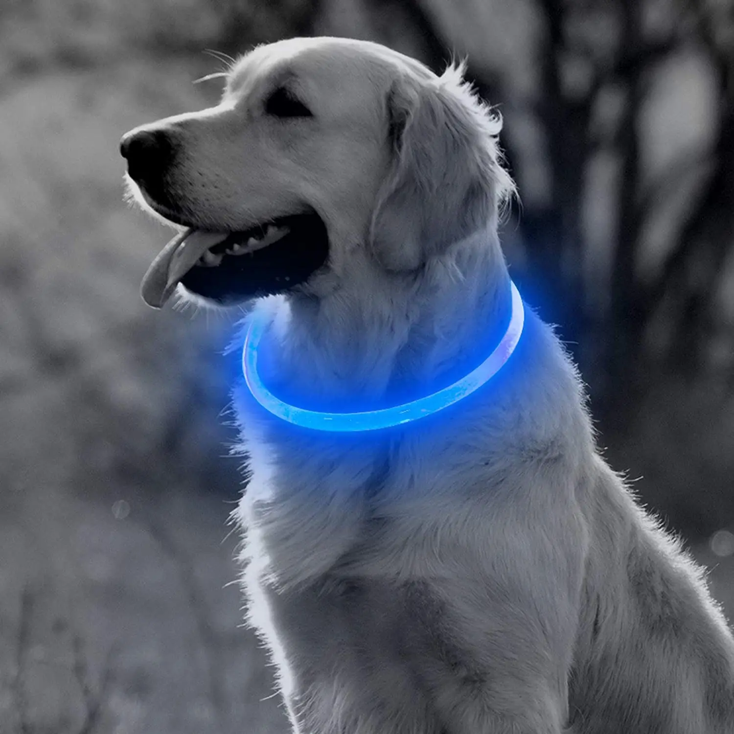

BOSI LED Dog Collar Light USB Rechargeable Light Up Puppy Collar, TPU Cuttable Glowing Dog Necklace for Small Medium Large Dogs, Red /blue/green/yellow /orange