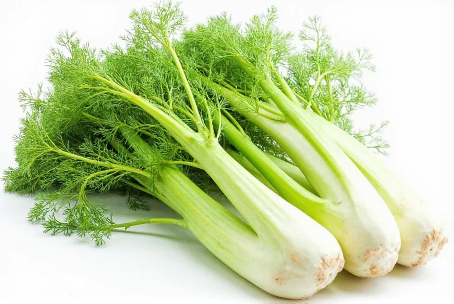 fennel plant health benefits