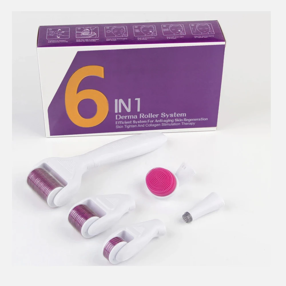 

Dropshipping 6 In 1 Skin Face Body Derma Rolling System Kit Micro NeedleTitanium Derma Roller For Hair Grow, White