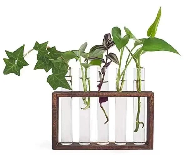 

Wholesale Customized Wall Mounted Hanging Plants Test Tube Flower Bud Tabletop Glass Terrarium Vase Wooden Stand, Clear or customized