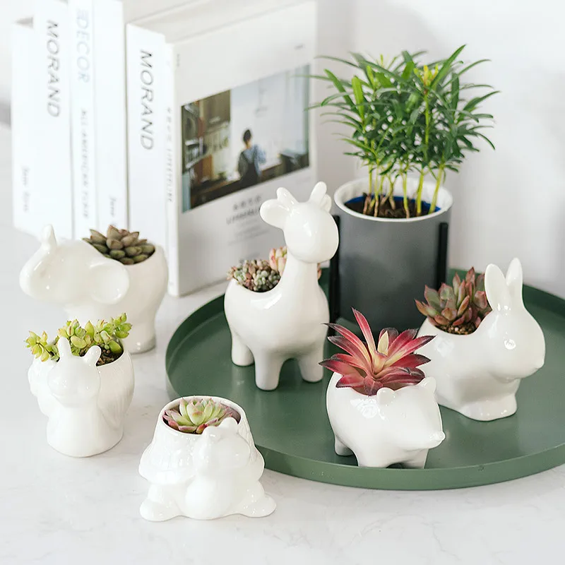 

APHACATOP White Animal Succulent Cactus Plant Flower Pot for Home Decoration SUCCULENT POTS