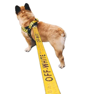 

Ready to ship pet supplies fashion dog leashes colorful Letter pet chest strap dog harness, 6 colors