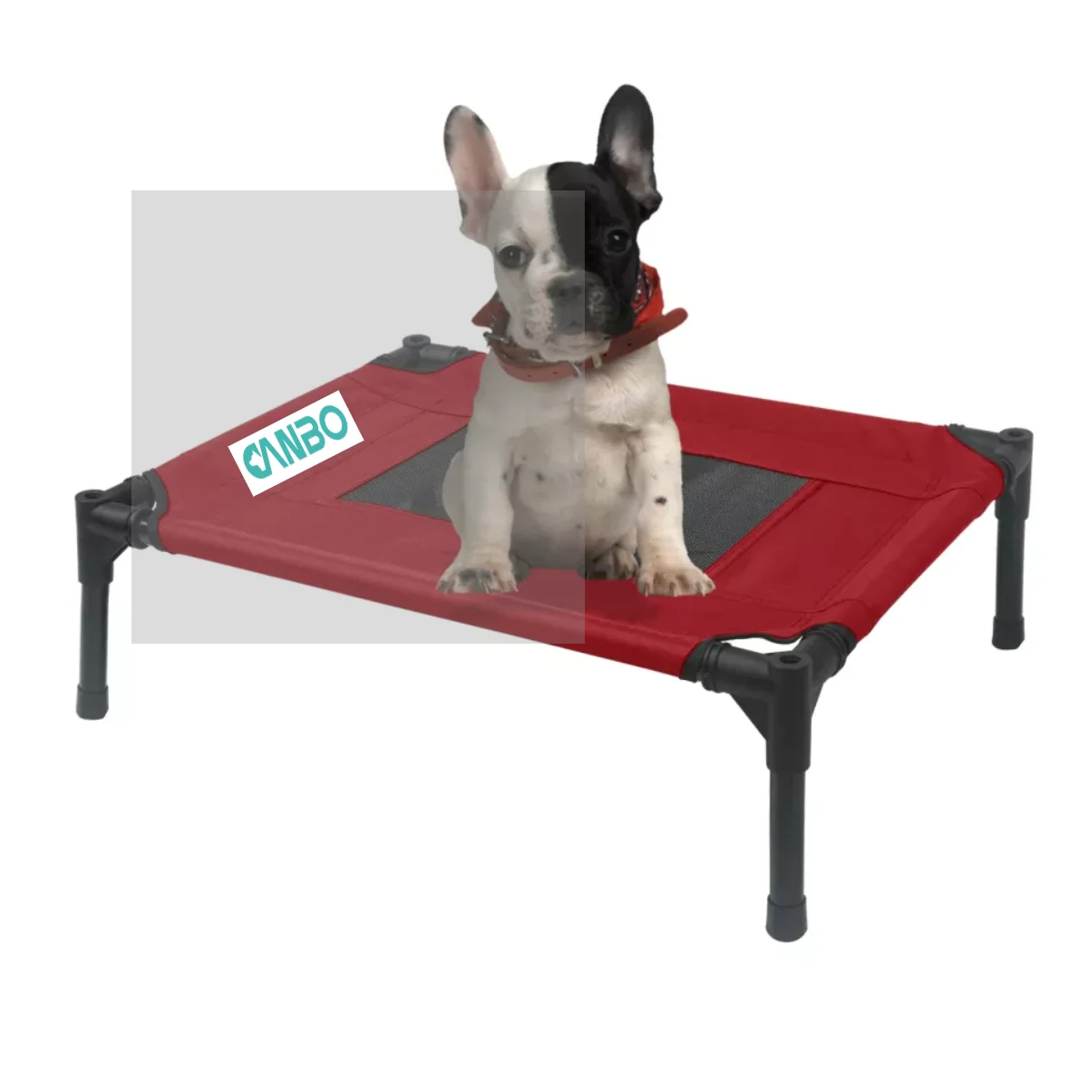 foldable pet bed
