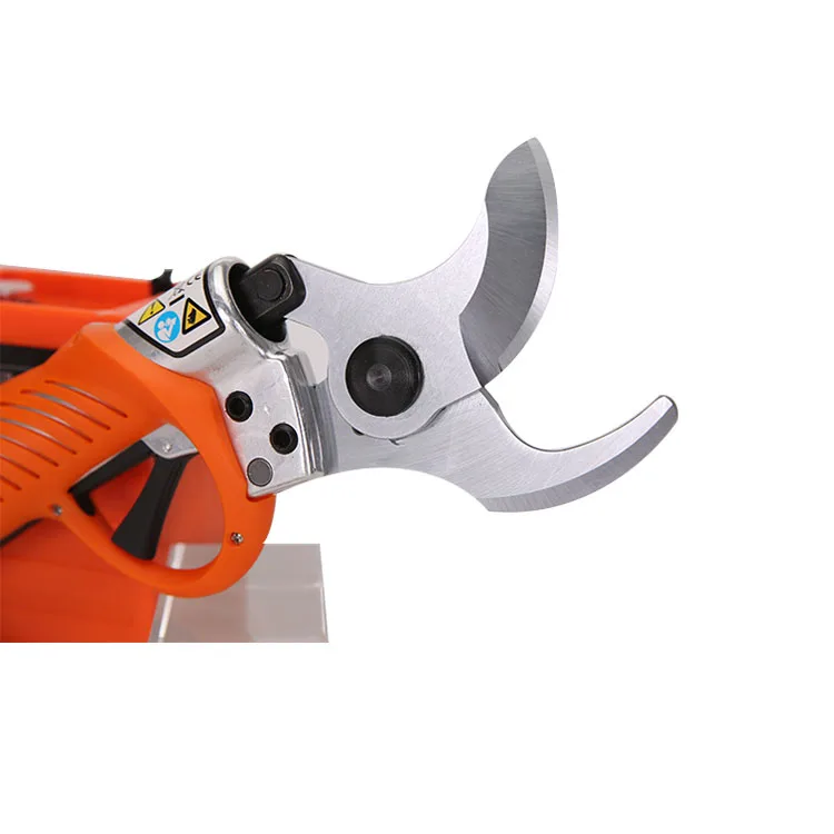 Pruning Shear34